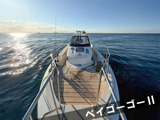 ���̡ʥ٥�������������