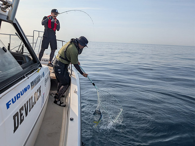 �ڥ������������ɥ����ӥ����������