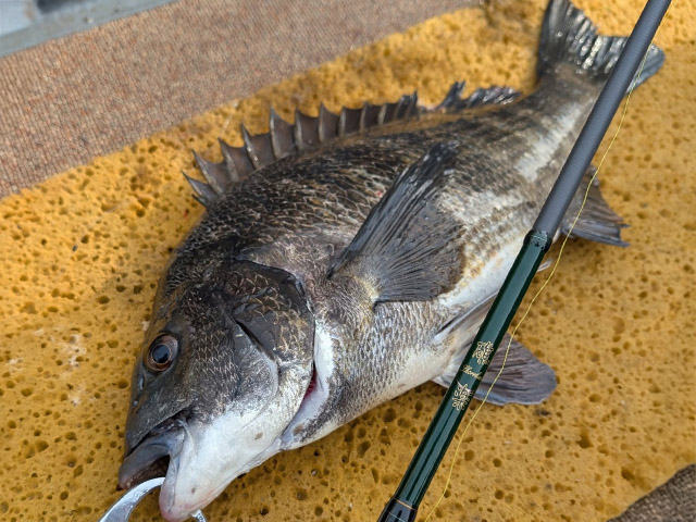 �ڥ������������ɥ����ӥ��ۥ�������