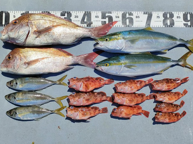 【第一寿丸】釣果例