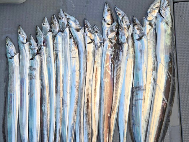 �ڤ�����դ����ե��å��󥰡ۥ����������