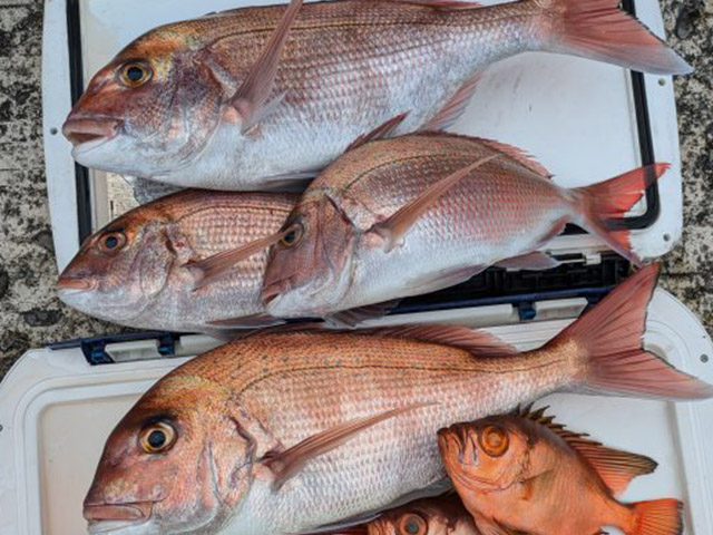 ���ٻδݡ������