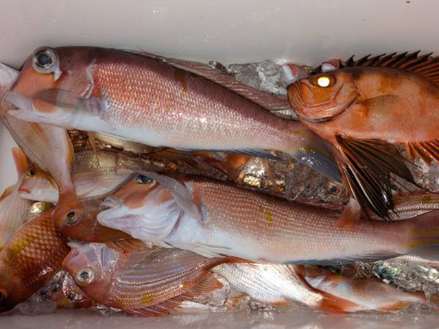 ���ٻδݡ������