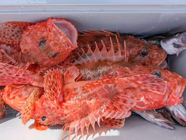 ���ٻδݡ������