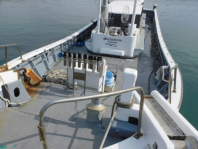 【せいゆう丸】正面より