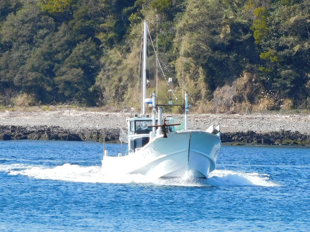 【せいゆう丸】別船