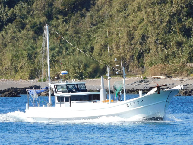 【せいゆう丸】右側より(別船)