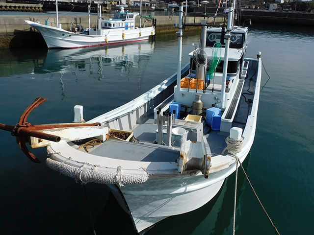 【せいゆう丸】正面より(別船)