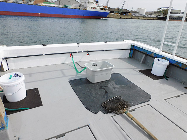 �ڳ����ݡ�