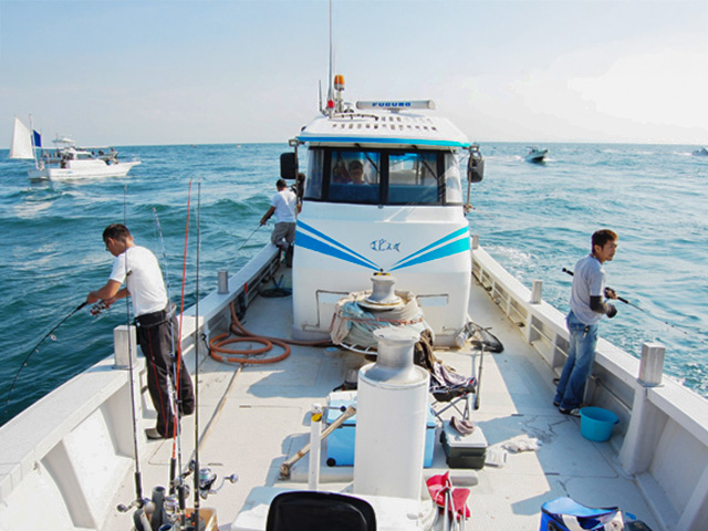 �ڥ��ӥ��ݡ��������