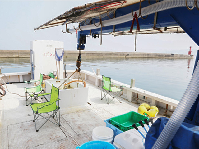 �ڥ��ӥ��ݡ۸���