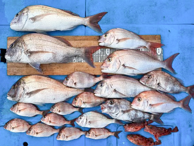 ��HIT�ۥ���������