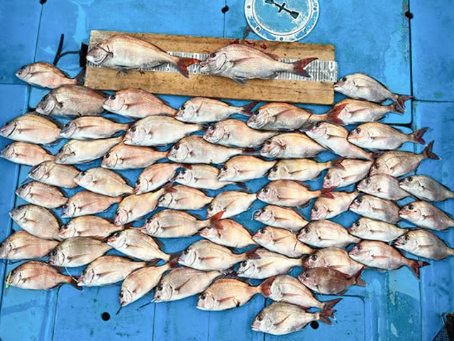 ��HIT�ۥ���������