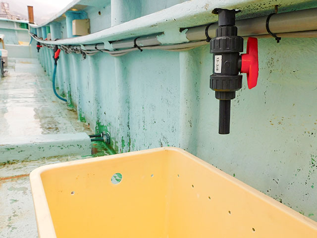 【瀬戸丸】個人イケス