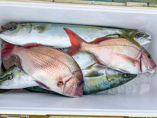 【瀬戸丸】釣果例