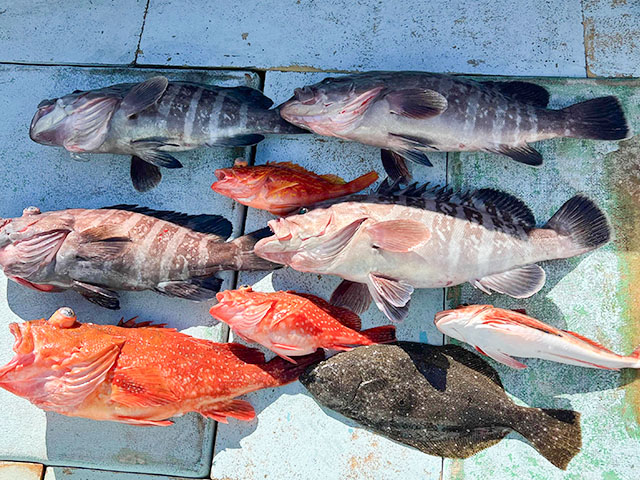 【瀬戸丸】釣果例