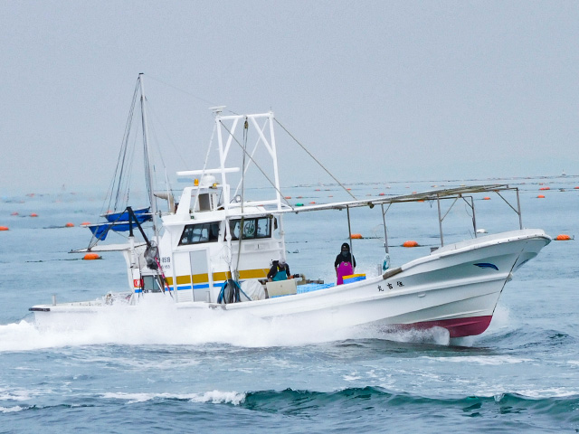 【船釣りまるかつ】育波漁港から出船