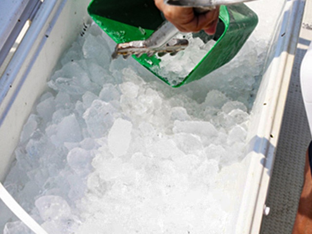 【船釣りまるかつ】氷