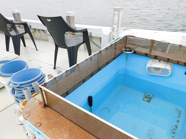 �ڥߥĥ�ݡ۸���������