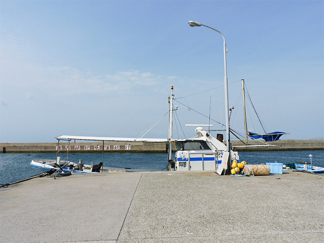 �ڥߥĥ�ݡ۾������