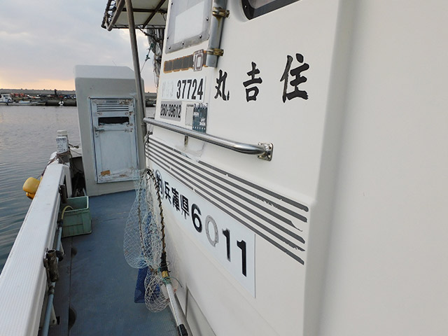 �ڽ��ȴݡ۱�¦