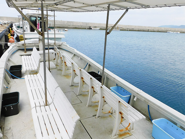 ����������¡�����