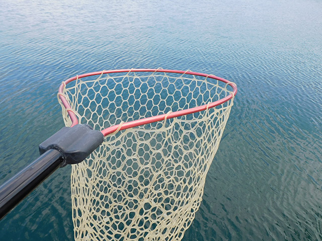 ����������¡ۥ�����֡�