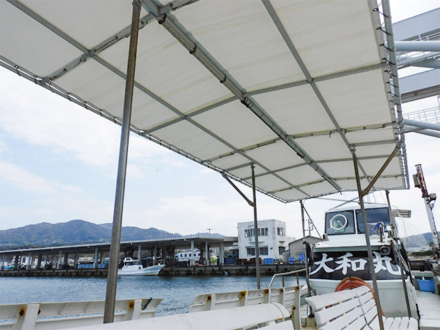 ����������¡۲���