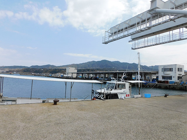 ����������¡۾������