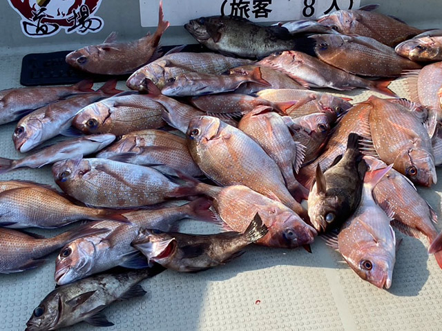 【釣道場】釣果例