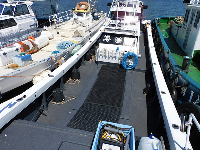 �ڳ���������