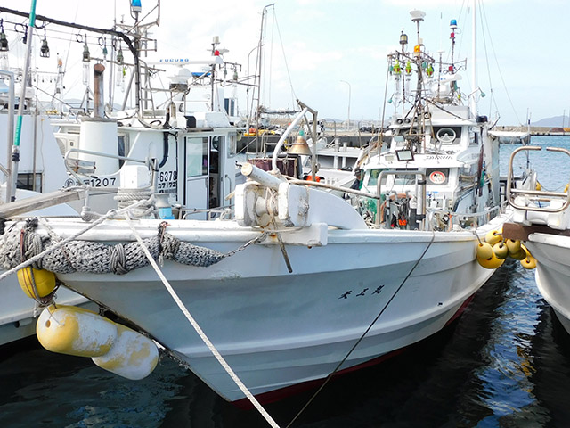 ���Ф��������