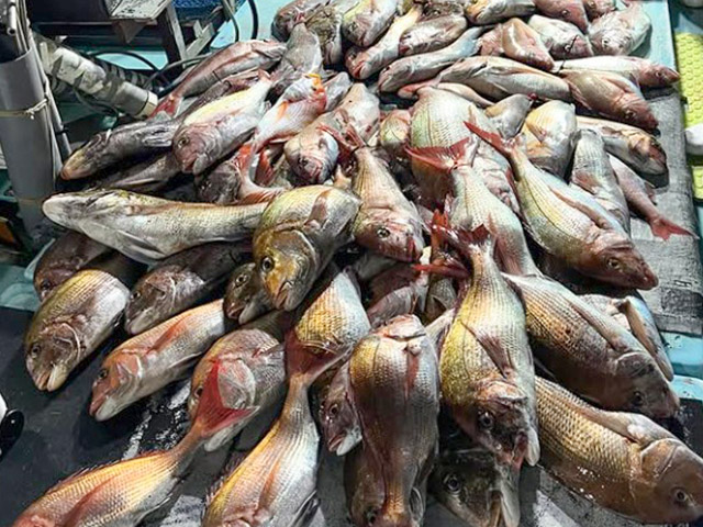 ��ŷ���ݡ������ʥʥ��ȥ�����С�