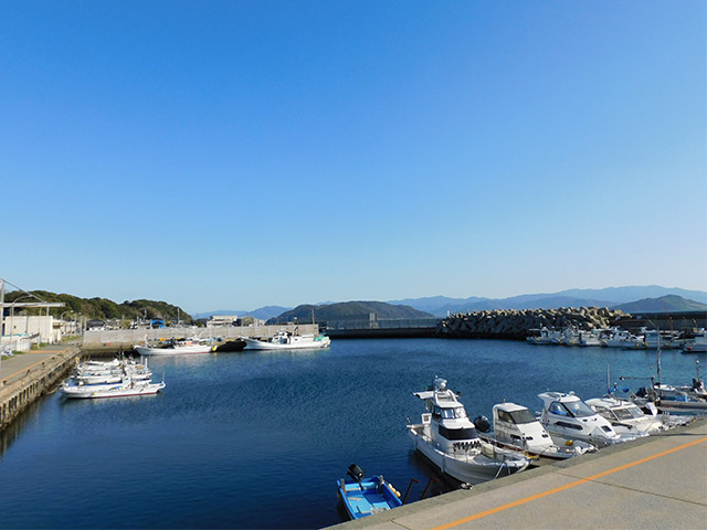 �ڥ���ա۹�����