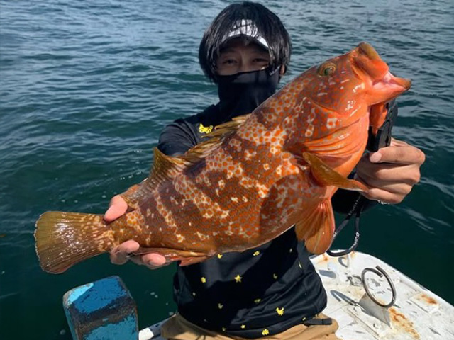 �ڥ���աۥ����ϥ������