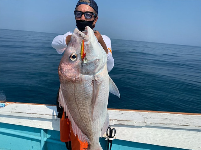 �ڥ���աۥޥ��������