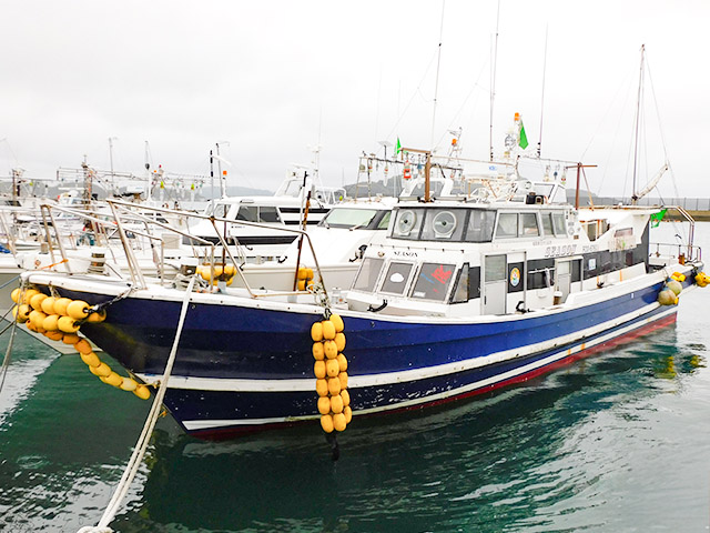 ���Ф��������