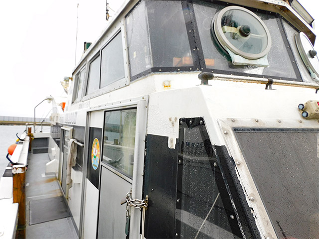 ��SEASON�۱�¦