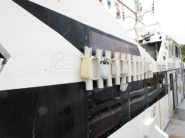 ��SEASON�ۥ��åɥۥ����