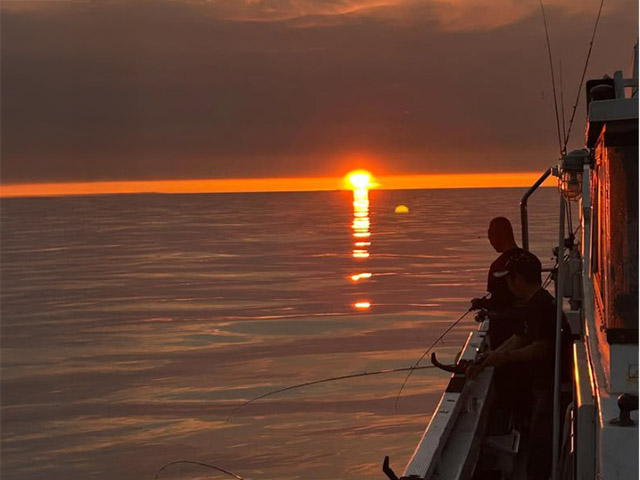 ��SEASON���������