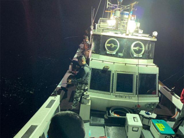 ��SEASON���������