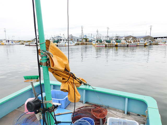 �ھ����ݡ۸���
